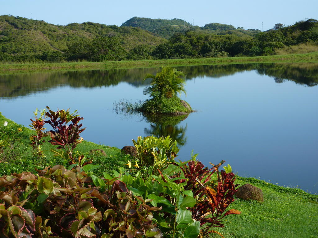Hotel Vista Lago 圣地亚哥 客房 照片