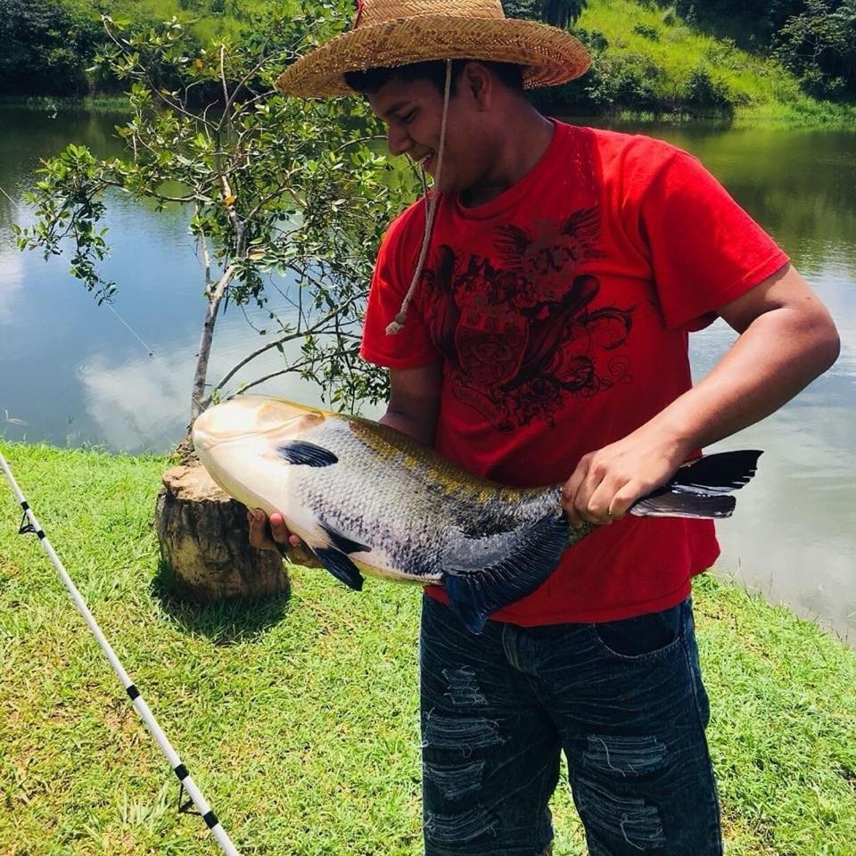 Hotel Vista Lago 圣地亚哥 外观 照片
